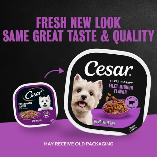 Miniatura 2 de Cesar Filetes en Salsa, Comida Húmeda para Perros Adultos, Sabor Filete Mignon, Comida Húmeda para Perros, Bandejas de 3.5 onzas, 24