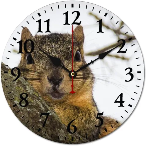 Reloj de pared con diseño de ardilla, diseño de madera vintage, con estampado de ardilla, funciona con pilas, 10 pulgadas, decoración para el hogar,