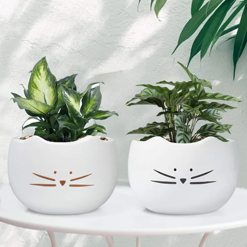 Miniatura 6 de Koolkatkoo Juego de 2 macetas para suculentas de 5.5 pulgadas, diseño de cactus, macetas blancas