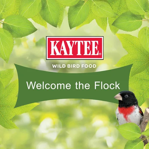 Miniatura 6 de Kaytee Wild Bird Ultimate Alimento para Aves Silvestres Sin Desorden, Semillas para Cardenales, Pinzones, Carboneros, Trepadores Azules, Pájaros