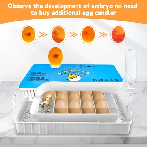 Miniatura 4 de Incubadoras para incubar huevos de 15-35 huevos con giro automático de huevos y pantalla de temperatura ℉ Incubadora de aves de corral LED