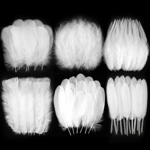 Larryhot White Craft Feathers - 240 plumas naturales mixtas de 6 estilos para bodas, fiestas en casa, suministros de atrapasueños y manualidades de