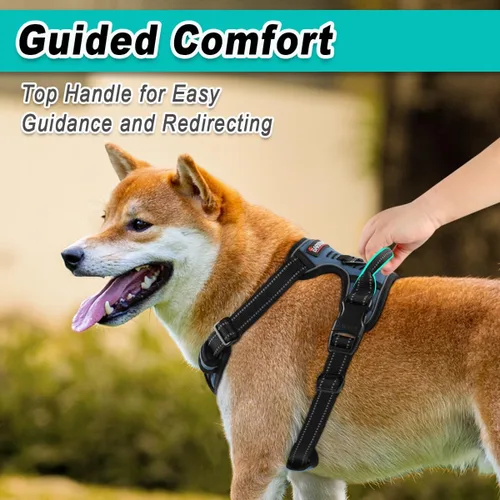 Miniatura 4 de BARKBAY Arnés para perro sin tirones para perros grandes, ajustable, reflectante, cómodo, sin estrangulamiento, resistente - perfecto para Azul