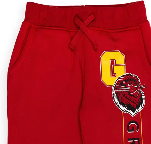 Miniatura 6 de Harry Potter Gryffindor Slytherin Hufflepuff Ravenclaw - Paquete de 2 pantalones deportivos de forro polar para niños pequeños a grandes