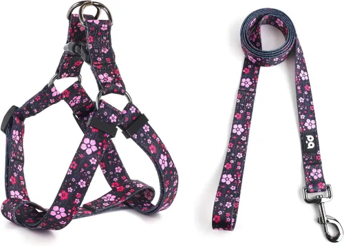 Miniatura 28 de QQPETS Juego de correa de arnés para perro, ajustable, resistente, sin tirones, arnés halter para perros de razas pequeñas, medianas y grandes, clip