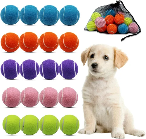 Swingers Pelotas de tenis pequeñas, paquete de 20 pelotas de tenis de entrenamiento de 2 pulgadas, pelota de ejercicio para mascotas y perros con