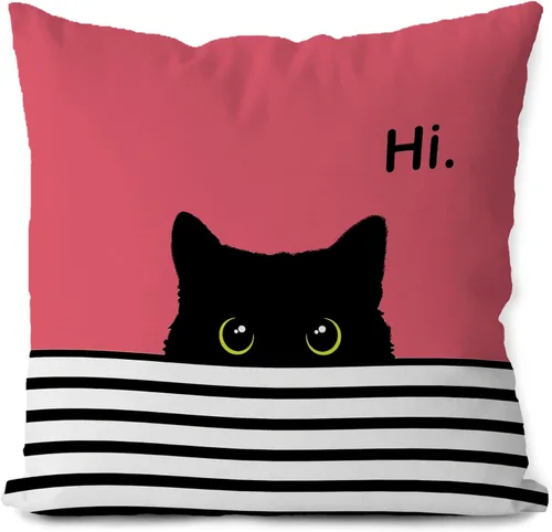 Brand Fundas de Almohada de Gato 18x18 pulgadas - Juego de Regalo de Almohadas Decorativas para Amantes de los Gatos (Rosa y Negro)