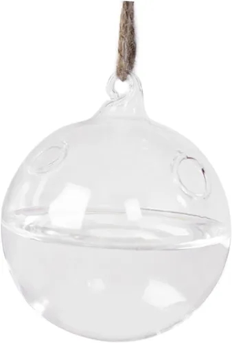 HANABASS Transparent Hanging Glass Planter with Two Holes Terrarium Vase for Home Decor for Succulents and Air Plants Stylish Indoor Plant Display