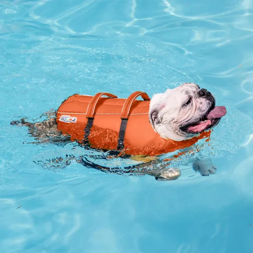 Miniatura 6 de Chaleco salvavidas para perro Outward Hound Granby Splash, chaleco salvavidas para perro de alta flotabilidad para natación, navegación y seguridad