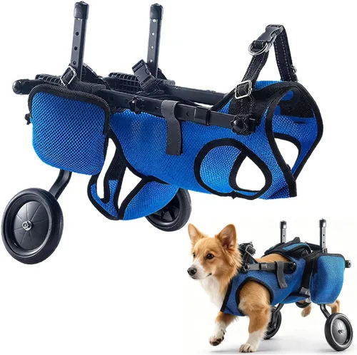 Silla de ruedas para perros para patas traseras, silla de ruedas ligera y ajustable, carrito de apoyo completo para patas traseras, inconvenientes