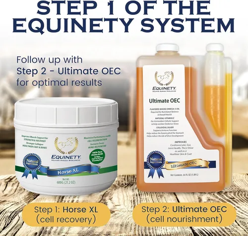 Miniatura 8 de Productos de Equinety Horse