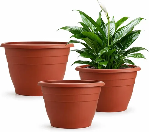 Miniatura 13 de RooTrimmer Juego de 10 macetas de 8 pulgadas con agujeros de drenaje y platillos, macetas para plantas de interior y exterior, macetas de orquídeas