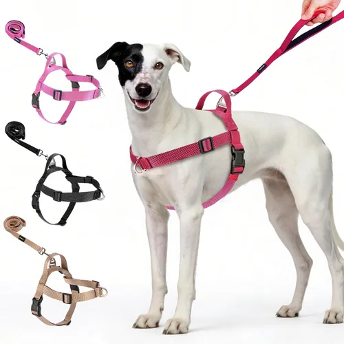 Miniatura 9 de Annchwool Arnés para perro sin tirones con clip frontal y asa de fácil control, arnés ajustable para el vientre y el pecho y correa para perros