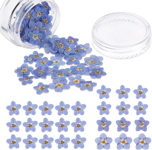 Miniatura 8 de Nuanchu Flores secas naturales "Don't Forget Me", flores secas prensadas reales para joyería, fabricación de velas, tarjetas, adornos de resina