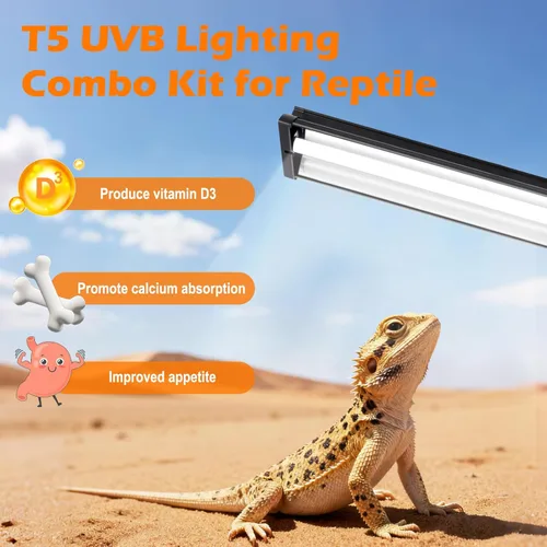 Miniatura 2 de T5 UVB - Kit combinado de lámpara para reptiles 8W 10.0 - Luz HO UVB completa para reptiles con capucha de terrario de 12.44 pulgadas, bombilla UVB