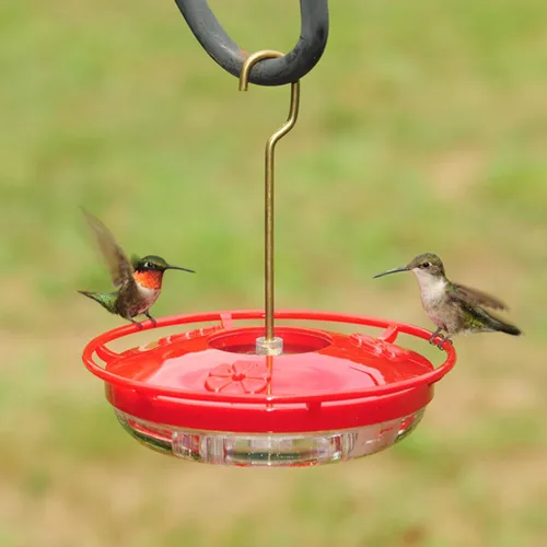 Miniatura 2 de Aspects 430 Hummzinger Highview Mini comedero para colibríes, rojo/transparente, 8 onzas