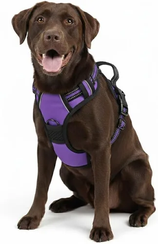 Miniatura 24 de Arnés para perro sin tirones, chaleco táctico verde XL, arnés extra grande de nailon 900D resistente con asas de fácil control, chaleco acolchado