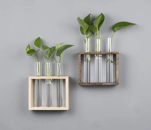 Miniatura 3 de Estación de propagación de madera con 3 tubos de ensayo de vidrio, soporte de terrario de vidrio de mesa para esquejes hidroponía, decoración