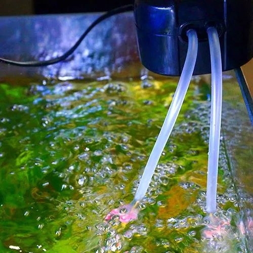 Miniatura 6 de Tubo de silicona QJZXUEZHEN 1/4"(6mm) DI x 3/8"(10mm) DE Manguera de goma de silicona flexible transparente para agua y aire