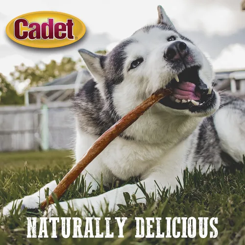 Miniatura 12 de Cadet Nervio de toro para perros grandes, 100% pizzle de res natural, masticables de ingredientes limitados y larga duración para perros que muerden