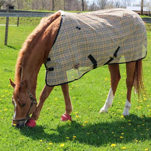 Miniatura 5 de Country Pride Textilene - Sábana para caballos, malla transpirable duradera, doble hebilla frontal ajustable, correas elásticas para las patas