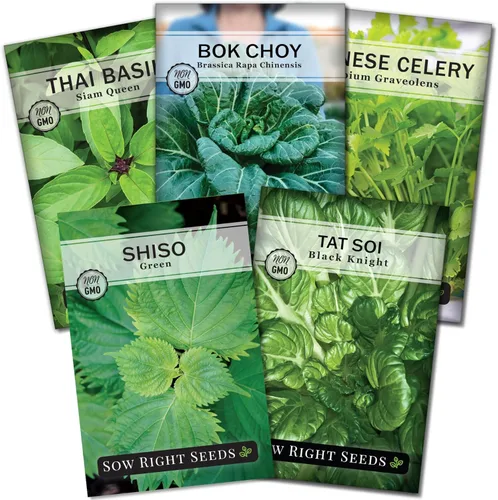 Sow Right Seeds - Colección de semillas de verduras asiáticas para plantar - Incluye albahaca tailandesa, bok choy, apio chino, shiso verde y Tat