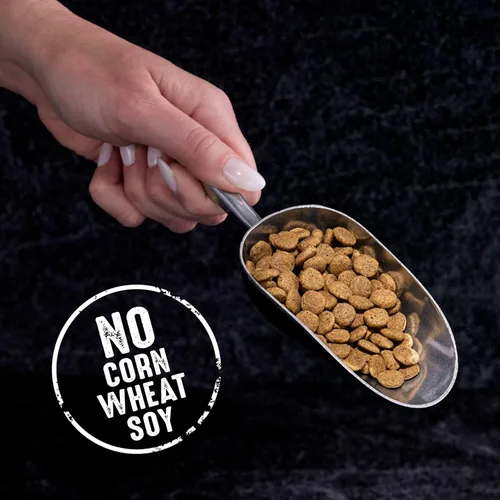 Miniatura 8 de CRAVE Alimento seco natural para gatos adultos con alto contenido de proteínas, sin cereales, con proteína de salmón y pescado del océano, bolsa