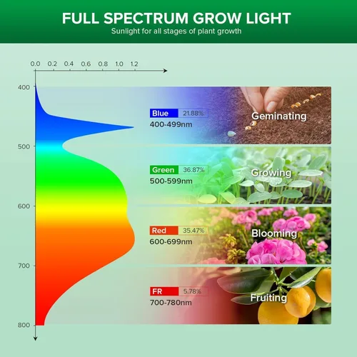 Miniatura 2 de SANSI Bombilla de crecimiento de 24 W para semillas y verdes, bombilla LED de espectro completo equivalente a 300 W para plantas