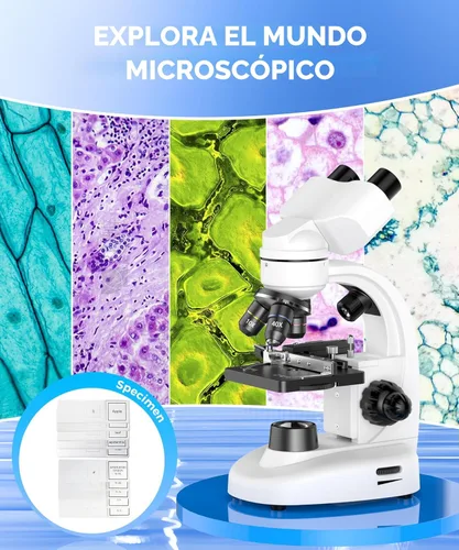 Miniatura 3 de Microscopio binocular compuesto para adultos, profesionales y niños, aumento de 40X-2000X con iluminación LED, platina mecánica, oculares WF2x