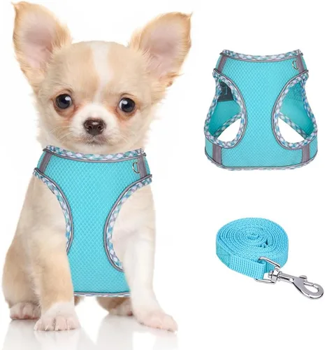 Miniatura 9 de Arnés para perro para perros pequeños y medianos sin tirones, ajustable para cachorros, arnés de malla transpirable reflectante para mascotas