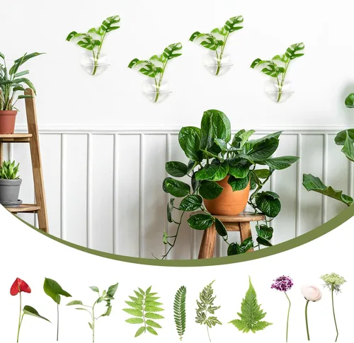 Miniatura 4 de XXXFLOWER Terrarios de vidrio para colgar en la pared, macetas transparentes, estación de propagación, jarrón de flores de vidrio, terrarios