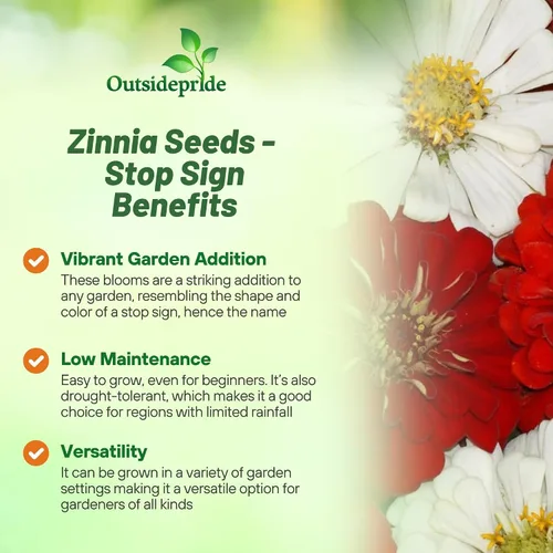 Miniatura 3 de Outsidepride - Zinnia Elegans, 1000 semillas anuales, Stop Sign Flower Seed Mix, mezcla de semillas de flores para plantar