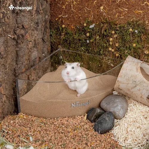 Miniatura 2 de Niteangel Arena de Baño del Desierto para Hámster Arena de Baño sin Polvo o Arena para Arenero para Hámster, Chinchillas, Jerbo, Ratón, Degu u