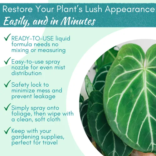 Miniatura 4 de Houseplant Leaf Shine Spray – Limpiador de hojas totalmente natural y brillo para un brillo saludable y una mejor fotosíntesis Perfecto