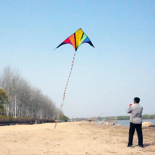 Miniatura 4 de besra 110 inch arco iris Delta Cometa con Windsock & 10 m larga cola para niños y adultos divertido Deportes al aire última intervensión para playa