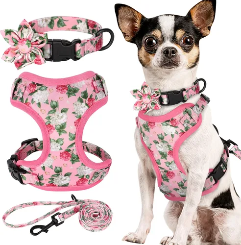 Miniatura 21 de Beirui Collares, arneses y correas lindos para perritas, conjunto - Collar y correa ajustable para perros con flores - Arnés de malla suave