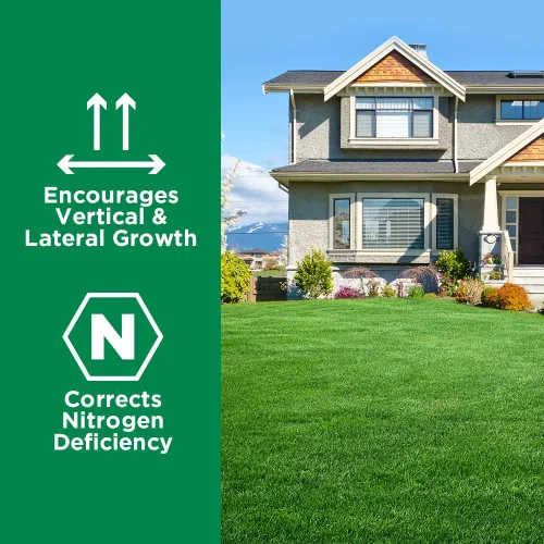 Miniatura 5 de Maximum Green & Growth Fertilizante de alto nitrógeno 28-0-0 para césped líquido en aerosol para primavera y verano, cualquier tipo de hierba