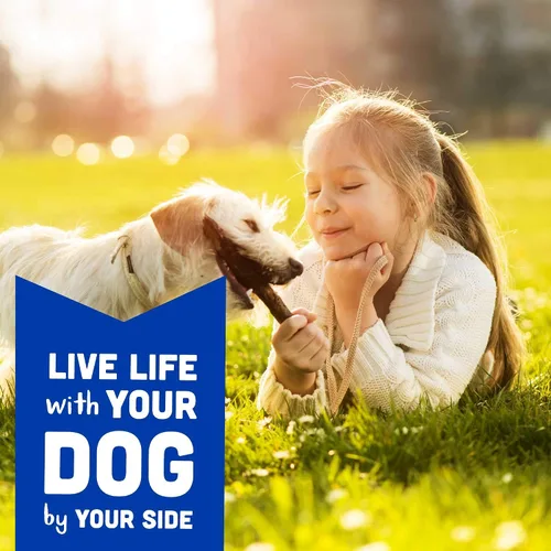 Miniatura 8 de Cloud Star Wag More Bark Less Soft Chews - Golosinas para perros, tocino, queso y manzanas, bolsa de 6 onzas