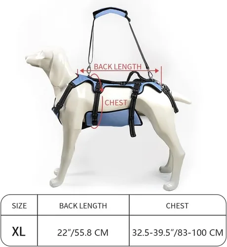 Miniatura 5 de Arnés de elevación para perros Coodeo, soporte completo del cuerpo y correa de recuperación, chaleco de elevación para rehabilitación de mascotas