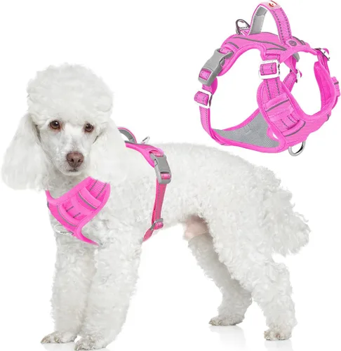 Miniatura 74 de BARKBAY Arnés para perro sin tirones con bolsillo para etiqueta de identificación, resistente, reflectante, fácil control para perros grandes