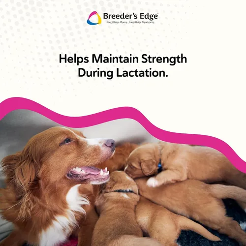 Miniatura 4 de Breeder's Edge - Suplemento oral Cal Plus en polvo, calcio y vitamina D3 para perros y gatos lactantes, apoya huesos, dientes y lactancia
