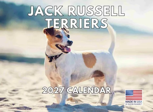 Miniatura 202 de Calendario de pared mensual 2025 Great Dane de 12 meses, fabricado en Estados Unidos