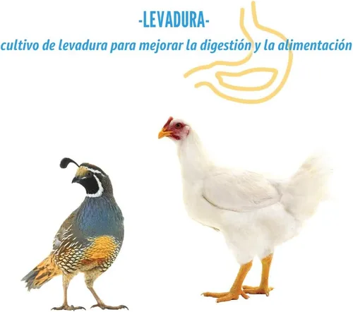 Miniatura 6 de Manna Pro Gamebird & Showbird Crumbles – Alimento prémium para aves de corral para pollos, patos, aves de caza, pavos y bantams – Fortificado