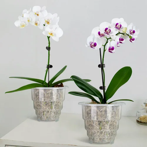 Miniatura 5 de Macetas transparentes para orquídeas con agujeros y platillos para trasplantar, las macetas de plástico para orquídeas proporcionan una buena