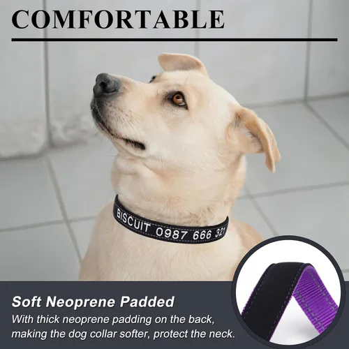 Miniatura 2 de Collar reflectante personalizado para perro, nombre bordado personalizado y número de teléfono, acolchado de neopreno suave y nailon transpirable