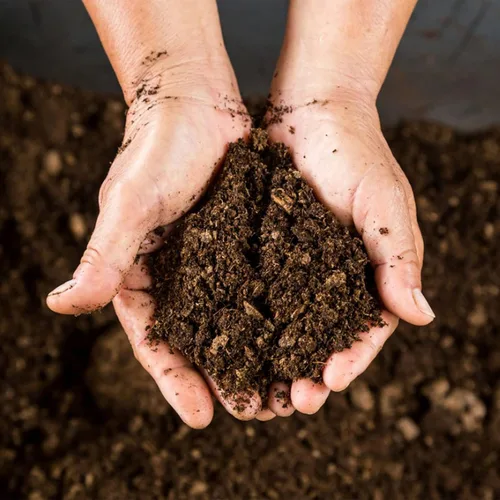 Miniatura 3 de Doter Musgo de Turba Sphagnum Orgánico, Añadido al Suelo y Enriquece las Raíces de las Plantas, Enmienda del Suelo de Jardinería y Medio de Suelo