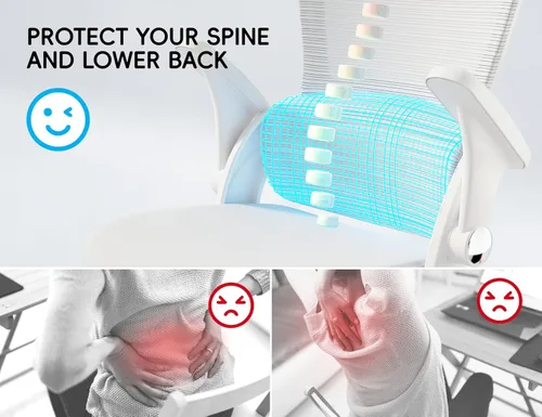 Miniatura 4 de TRALT Silla de oficina ergonómica con soporte trasero, sillas de escritorio de oficina en casa, silla de escritorio cómoda, silla de computadora