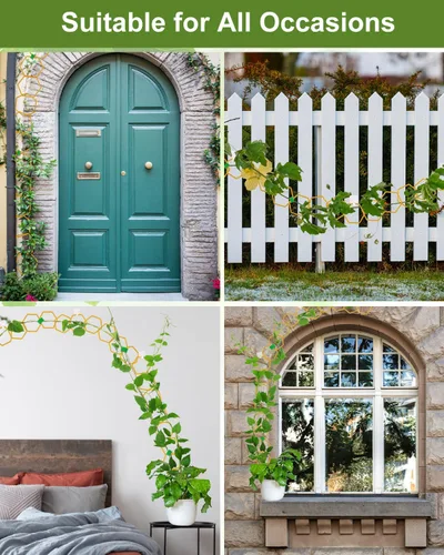 Miniatura 7 de 18 piezas de enrejado de cadena para plantas trepadoras, accesorios para plantas de interior en maceta para Hoya, Ivy, Monstera, enrejado de pared