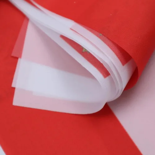 Miniatura 5 de AZ FLAG Polonia con águila 13.1 ft BUNTING Flag 20 banderas 6'' x 4'' - Escudo de armas polaco Banderas de cuerda 3.9 x 5.9 in