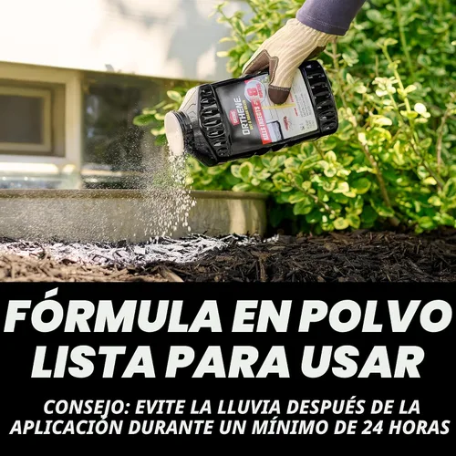 Miniatura 4 de Ortho Orthene mata hormigas y cucarachas, proporciona un control duradero de insectos, para uso en interiores y exteriores, 1 lb.